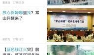 最新案件爆料新闻内容,最新案件内幕曝光，真相令人震惊！