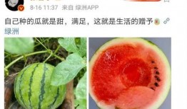 娱乐吃瓜新鲜事,揭秘明星幕后故事