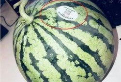 滕州网红吃瓜,揭秘网络红人的幕后真相
