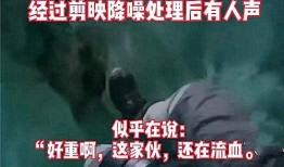 武夷山抖音爆料事件视频,揭秘网红打卡地背后的真相