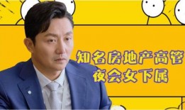 悉尼地产爆料新闻最新,最新爆料揭示惊人涨幅与投资机遇