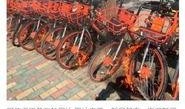 梅州民生最新爆料,揭秘当地民生热点事件