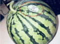 滕州网红吃瓜,揭秘网络红人的幕后真相